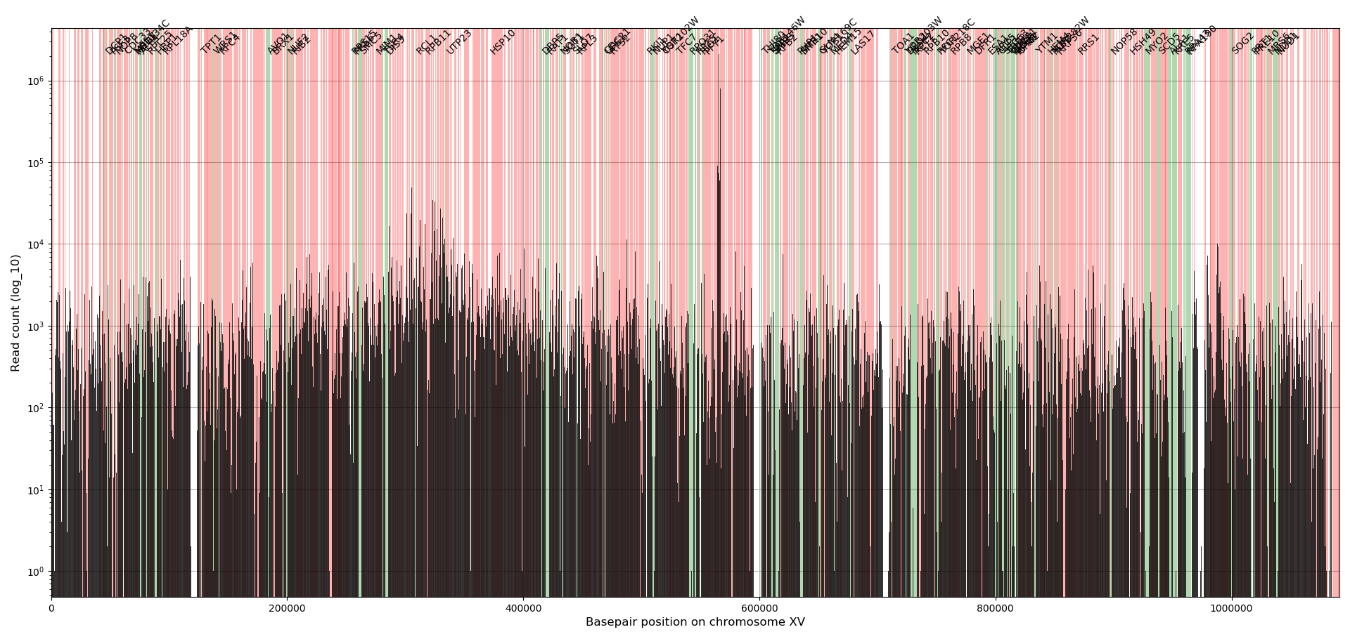 Read profile plot for chromosome XV (note the y-axis is in logarithmic scale).